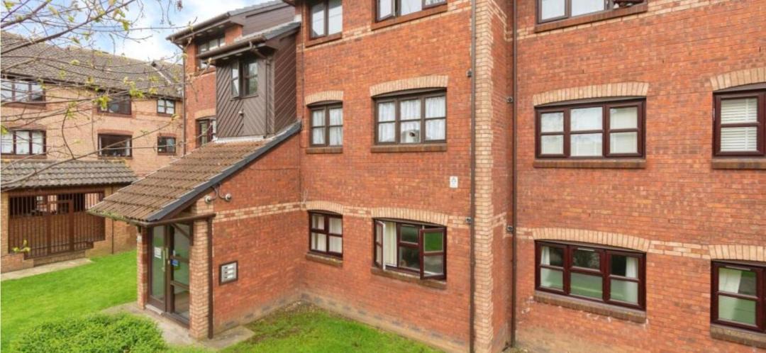 Photo of Others in Lavender Fields