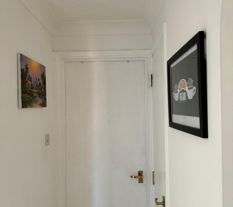 Photo of Others in Lavender Fields