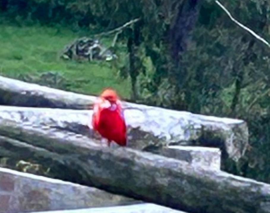 Photo of Others in Yinnar South