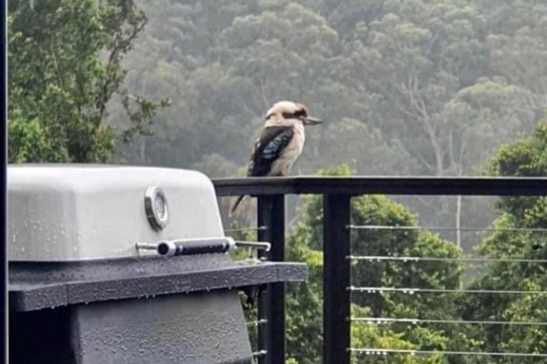 Photo of Others in Barrengarry