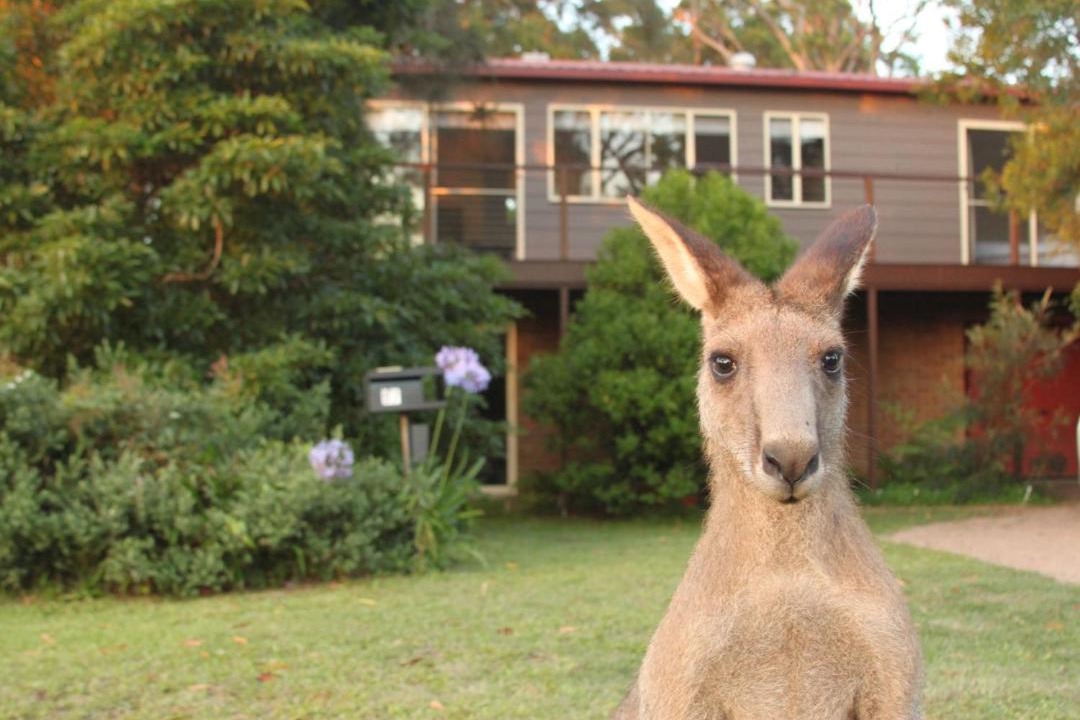 Photo of Others in Erowal Bay