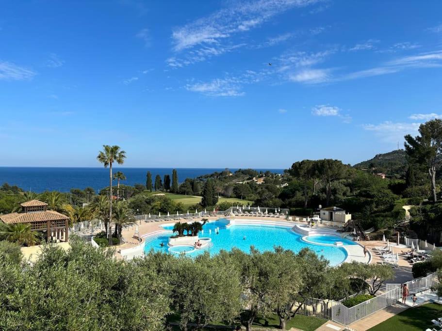 Photo of Others in Cap Esterel