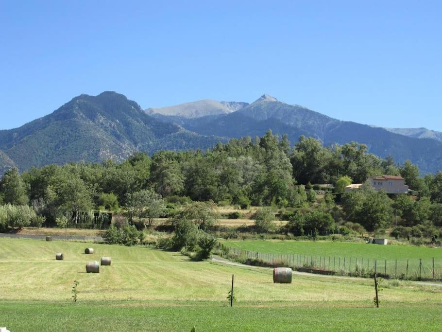 Photo of Others in Prades