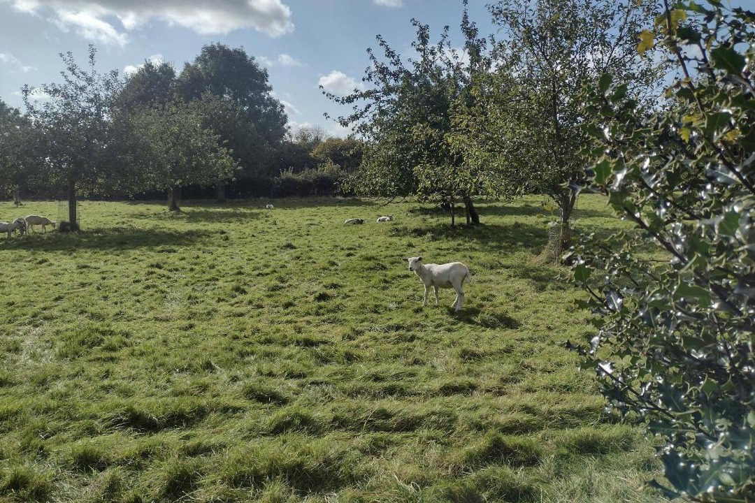 Photo of Others in Wotton-under-Edge