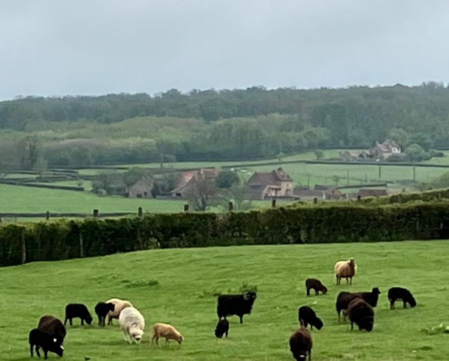 Photo of Others in Poisson