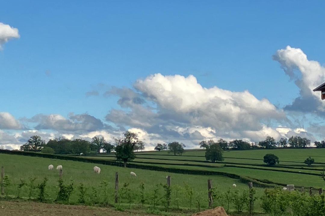 Photo of Others in Poisson