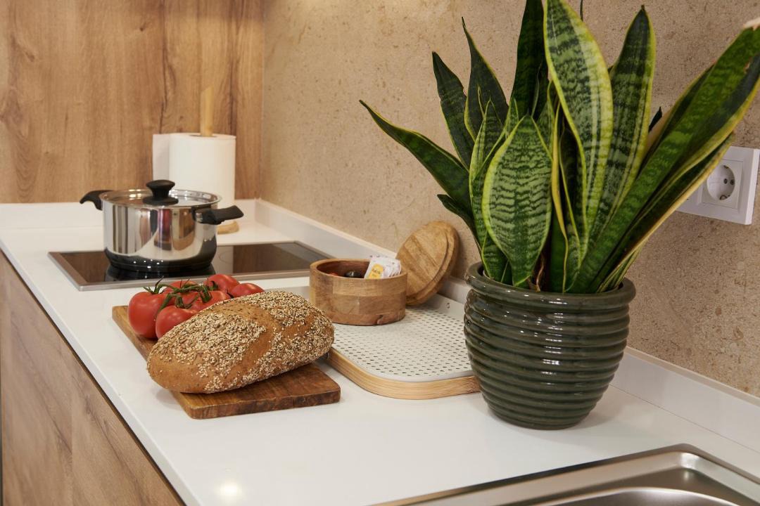 Photo of Kitchen in Benicalap