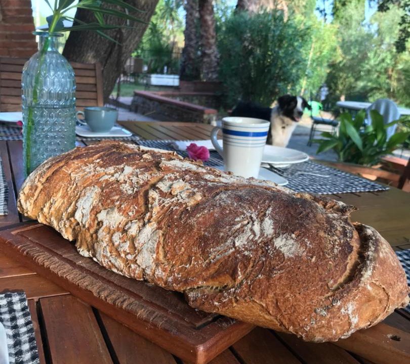 Photo of Others in Thuir