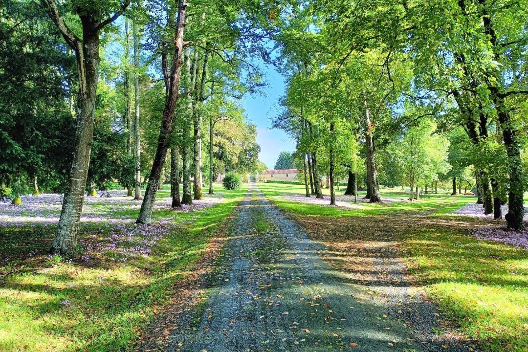 Photo of Others in La Chapelle-Baton