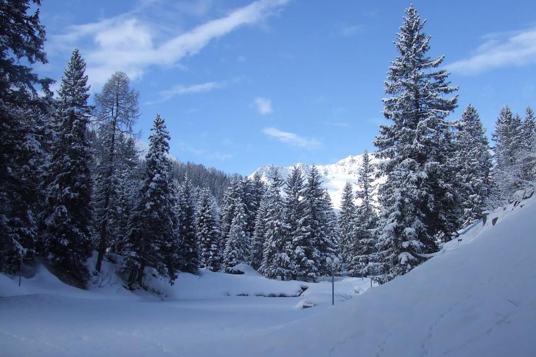 Photo of Others in Arosa