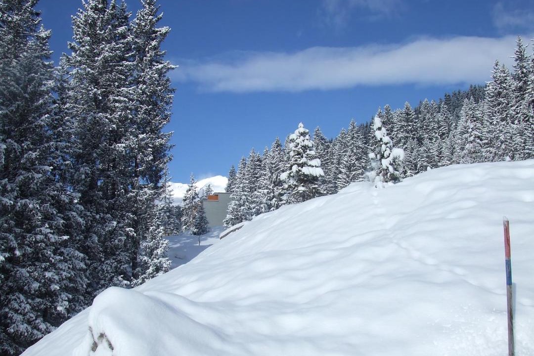 Photo of Others in Arosa