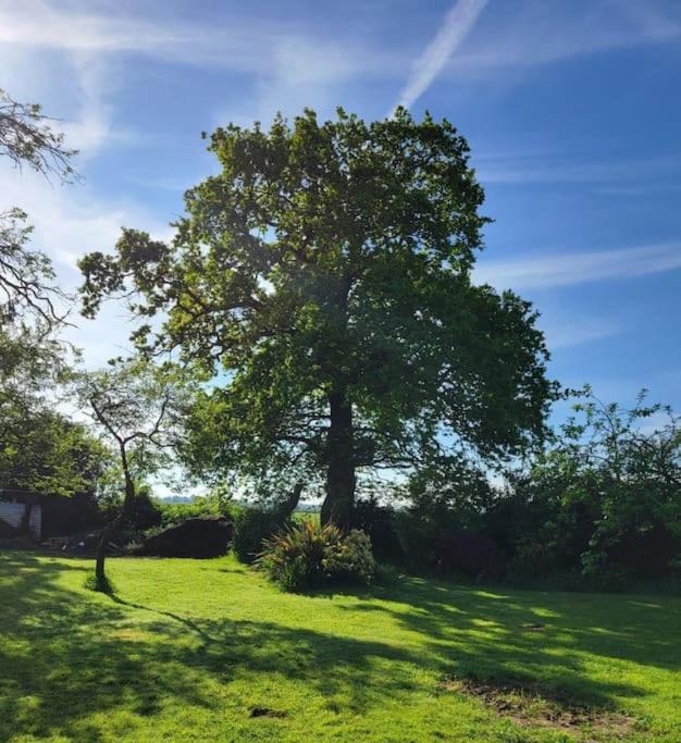 Photo of Others in Padeswood