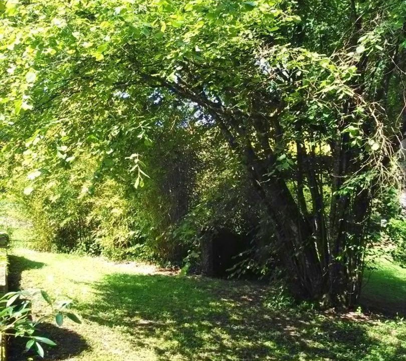 Photo of Others in Saint-Jean-aux-Bois