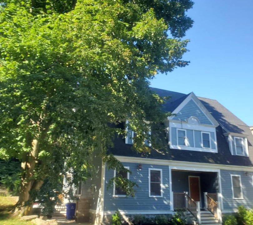 Photo of Others in Jamaica Plain