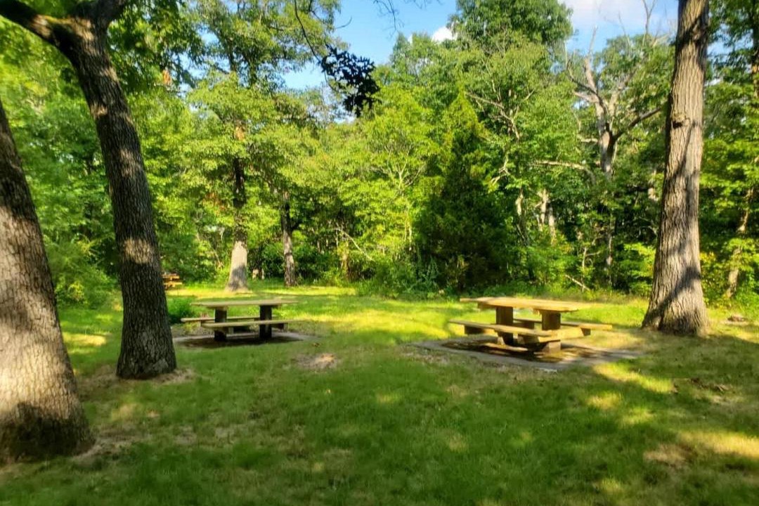 Photo of Others in Jamaica Plain