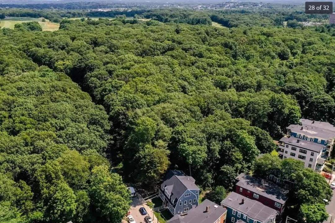 Photo of Others in Jamaica Plain