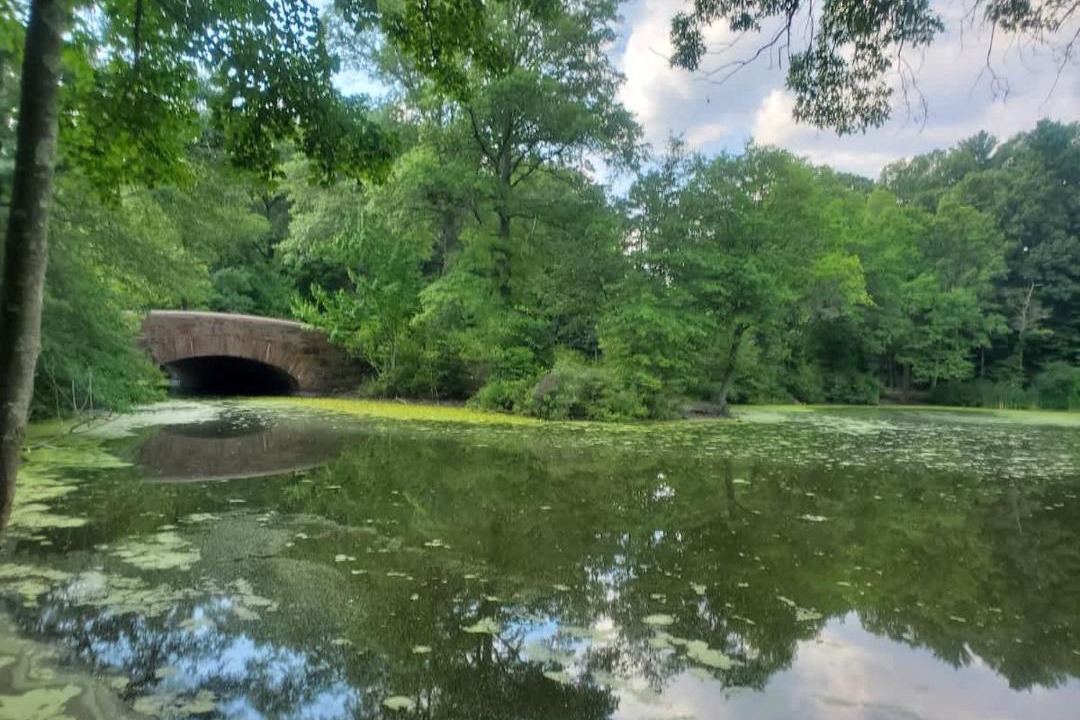 Photo of Others in Jamaica Plain