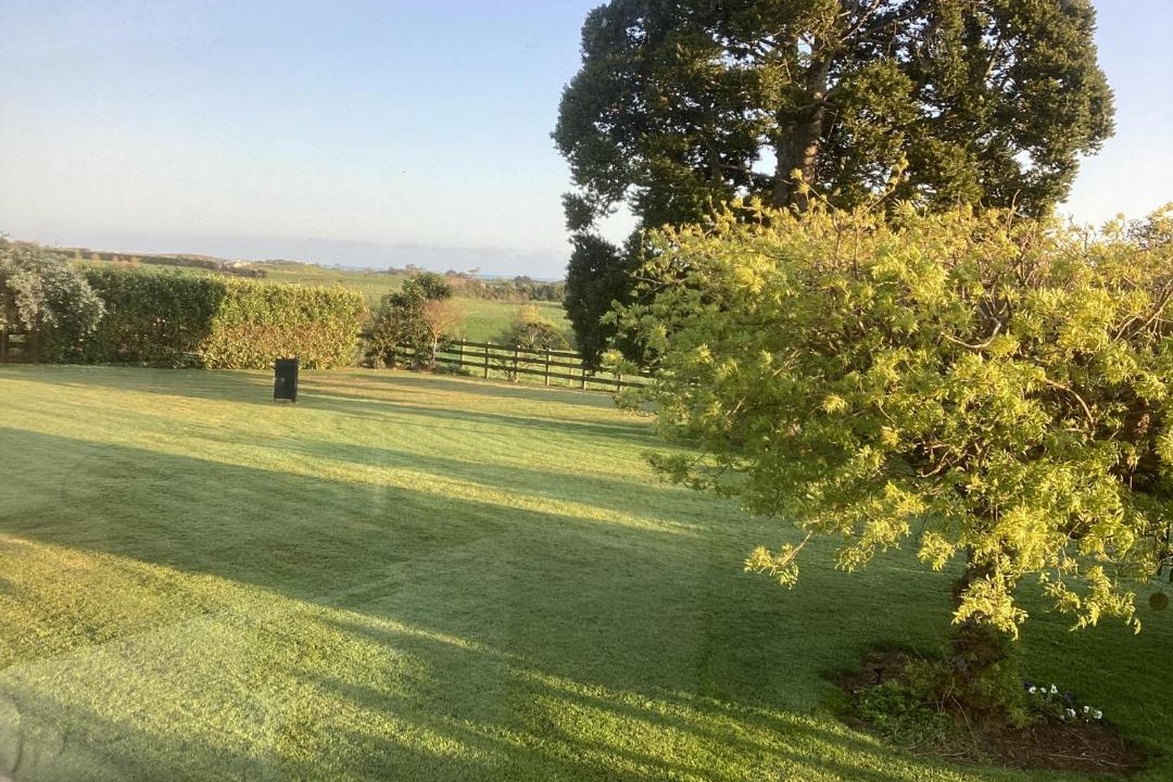 Photo of Others in Brixton