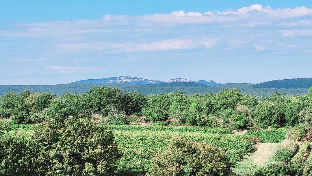 Photo of Others in Saint-Andre-d'Olerargues
