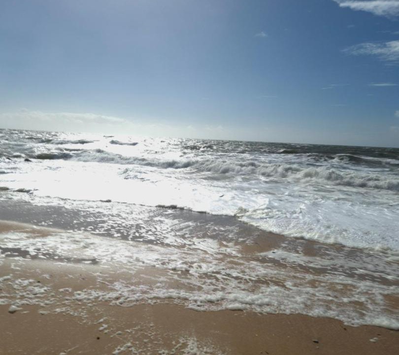 Photo of Others in Piriac-sur-Mer