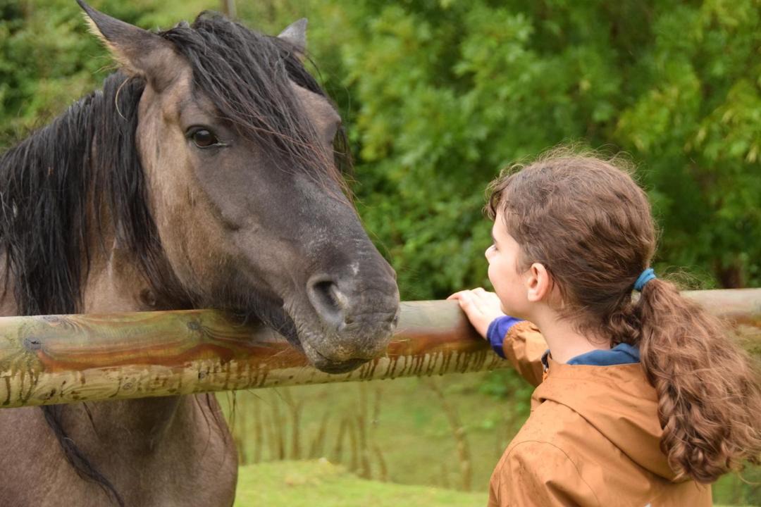 Photo of Others in Saint-Christophe-sur-Conde