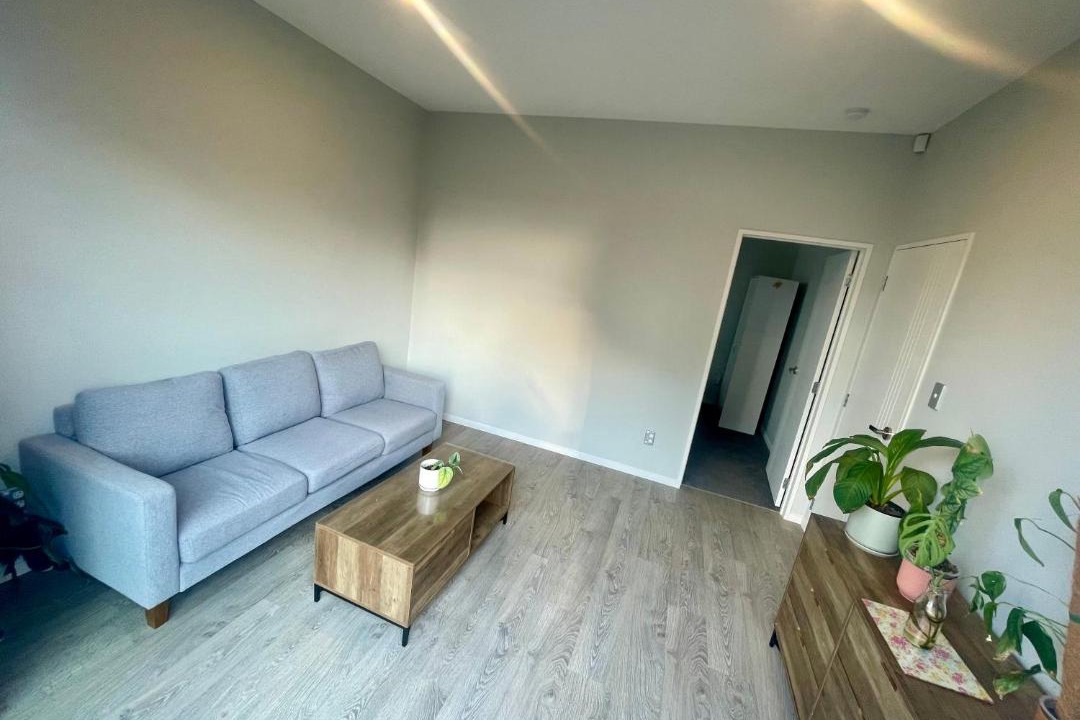 Photo of Livingroom in Hobsonville