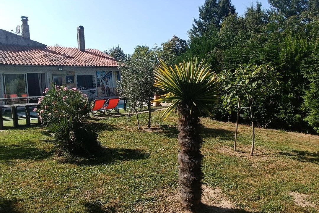 Photo of Others in Ris