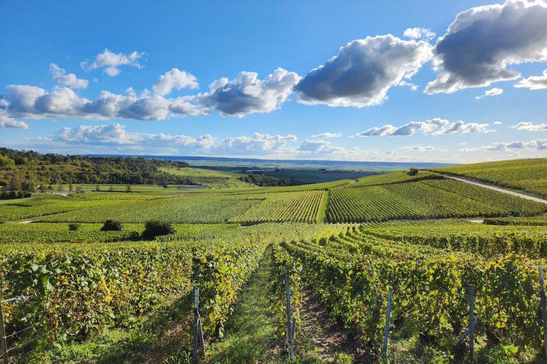 Photo of Others in Nogent-l'Abbesse