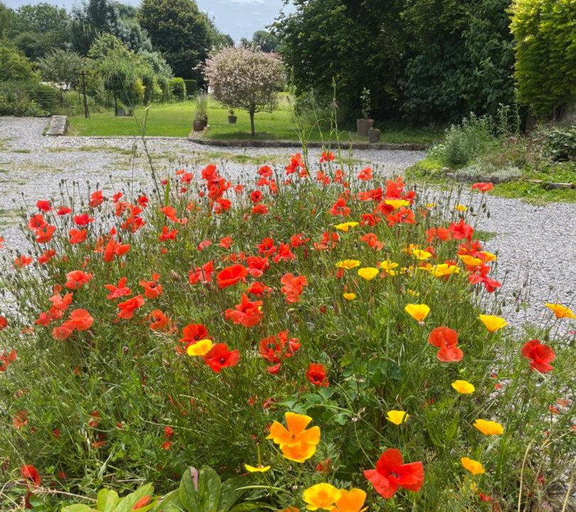 Photo of Others in Mont-Saint-Eloi