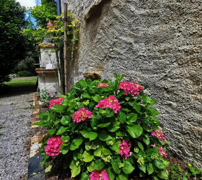 Photo of Others in Mayet