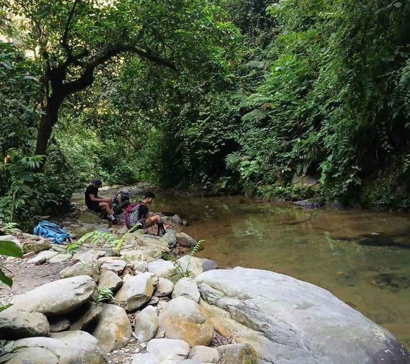 Photo of Others in Bohorok