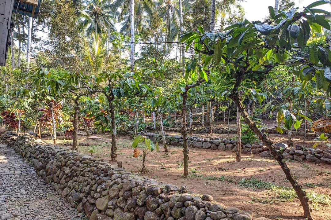 Photo of Others in Kalipuro