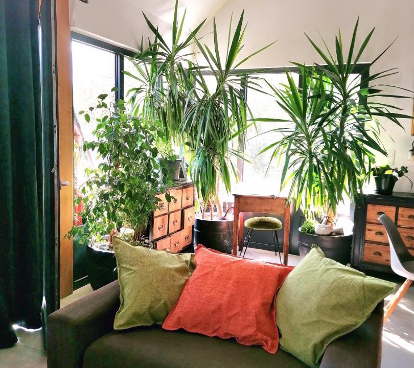 Photo of Livingroom in Barcelonnette