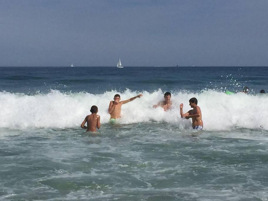 Photo of Others in Ocean Bluff-Brant Rock