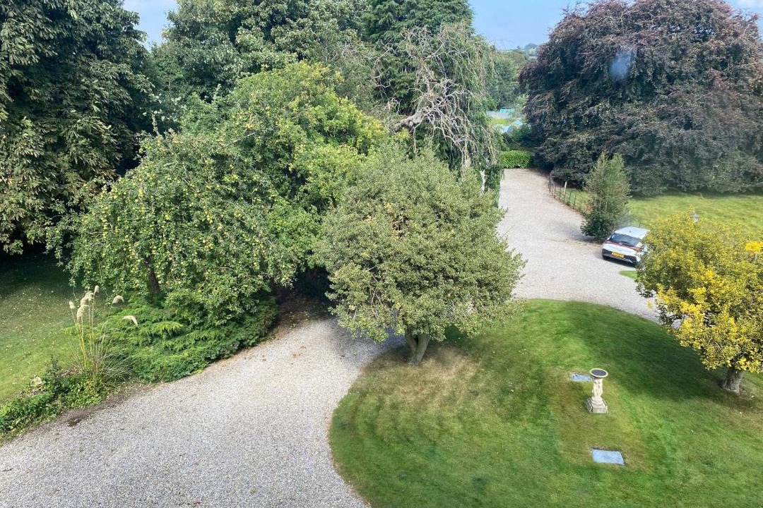 Photo of Others in Masham