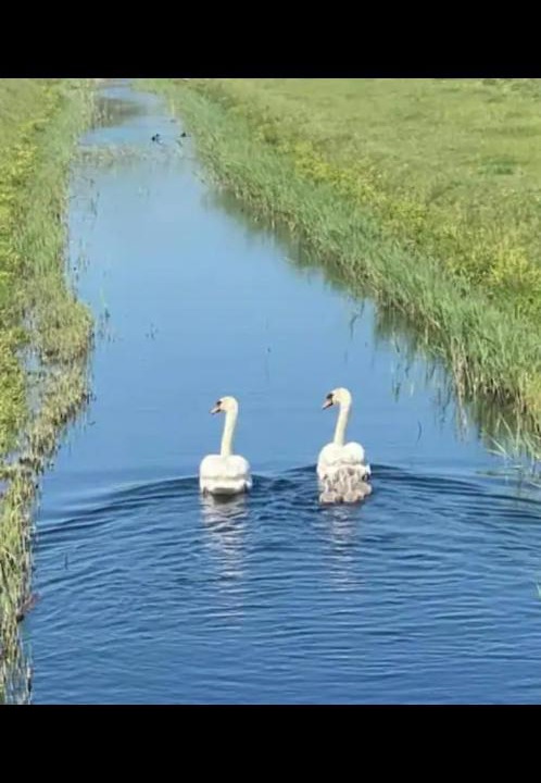 Photo of Others in Seasalter