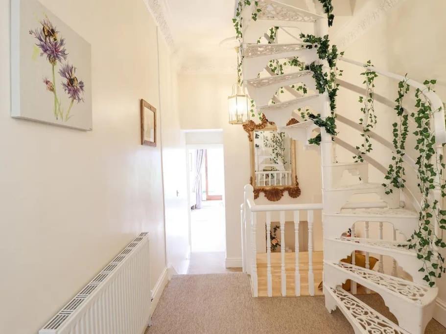 Photo of Others in Barmouth