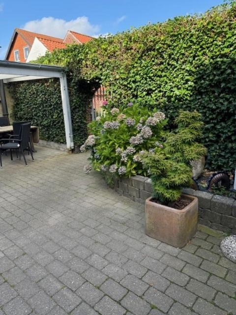 Photo of Others in Ribe