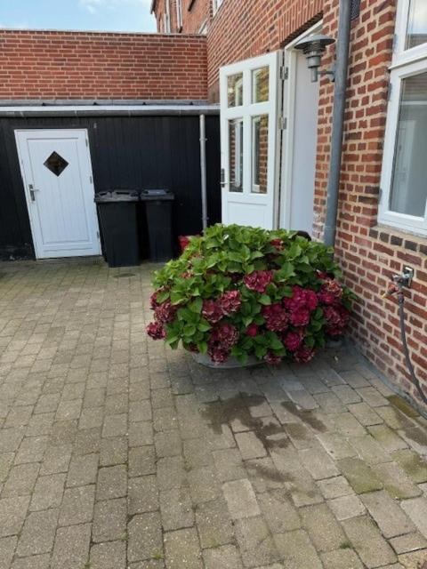 Photo of Others in Ribe