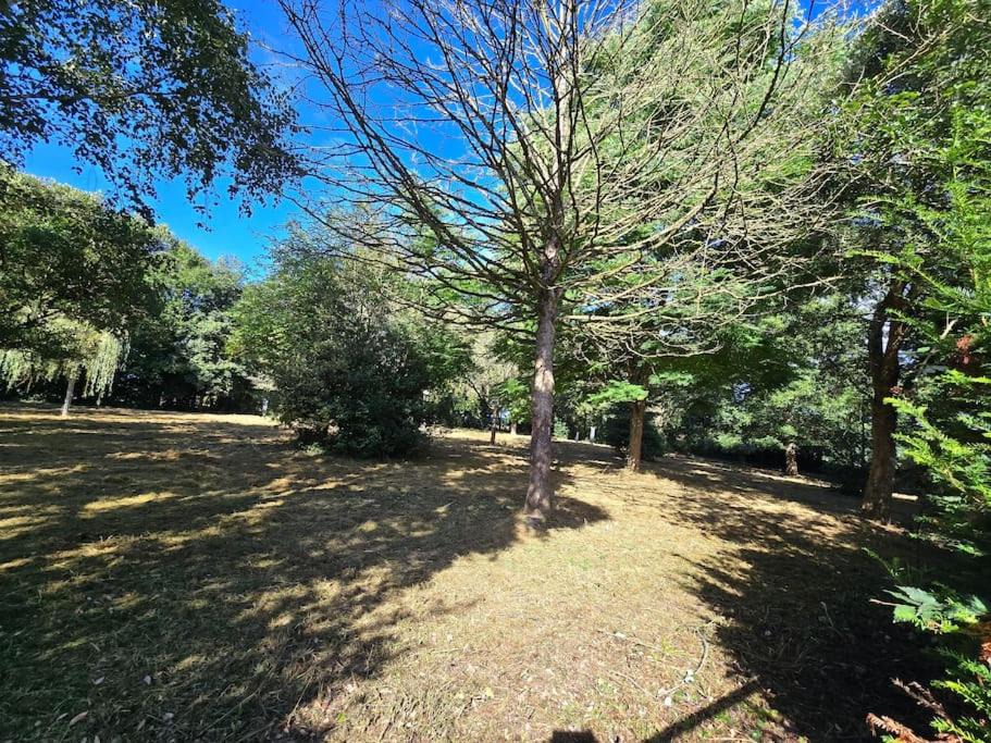 Photo of Outdoor in Rai