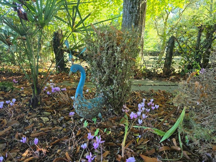 Photo of Outdoor in Rai