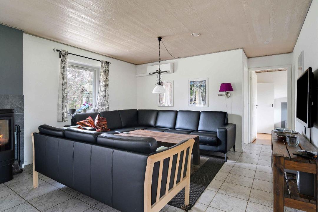 Photo of Others in Stege