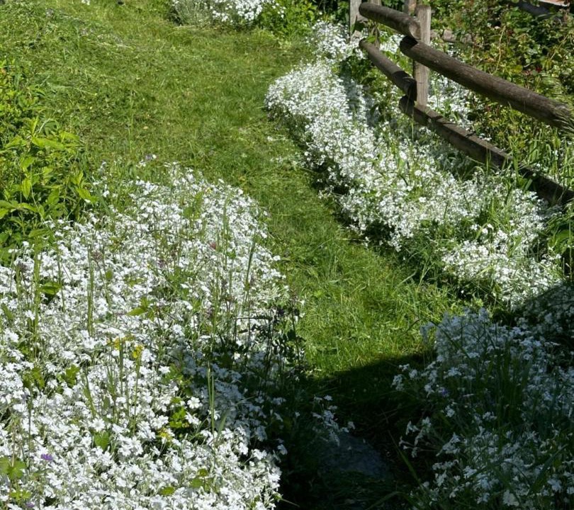 Photo of Others in La Perriere