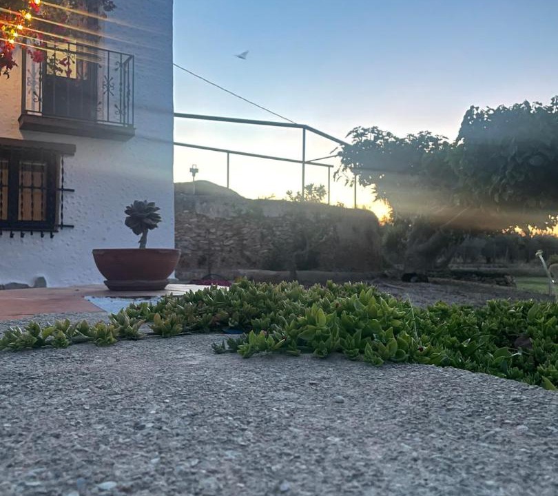 Photo of Others in Sant Carles de la Rapita