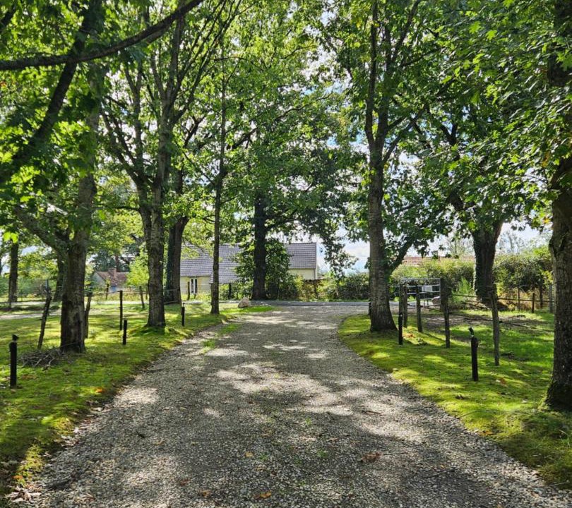 Photo of Others in Gouise