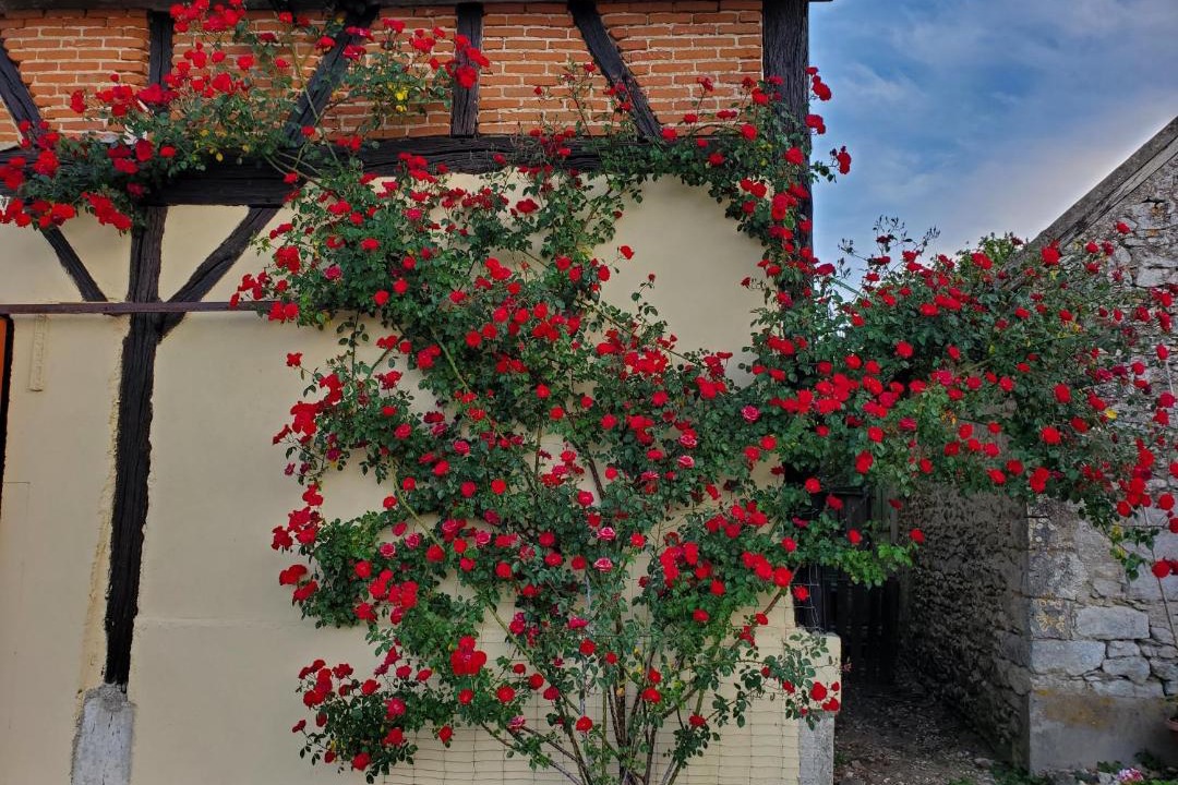 Photo of Others in Saint-Leonard-en-Beauce