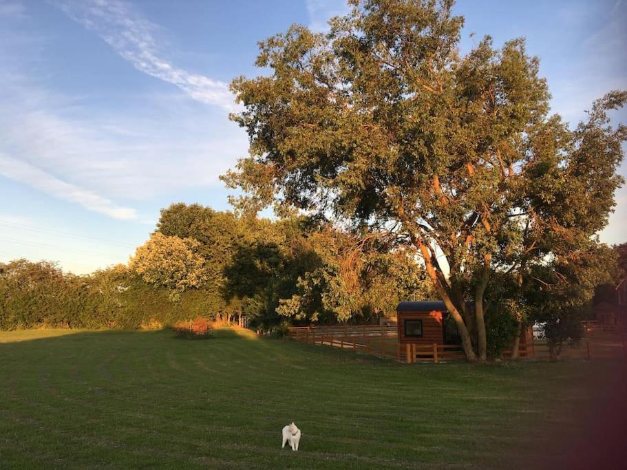 Photo of Others in Forsbrook