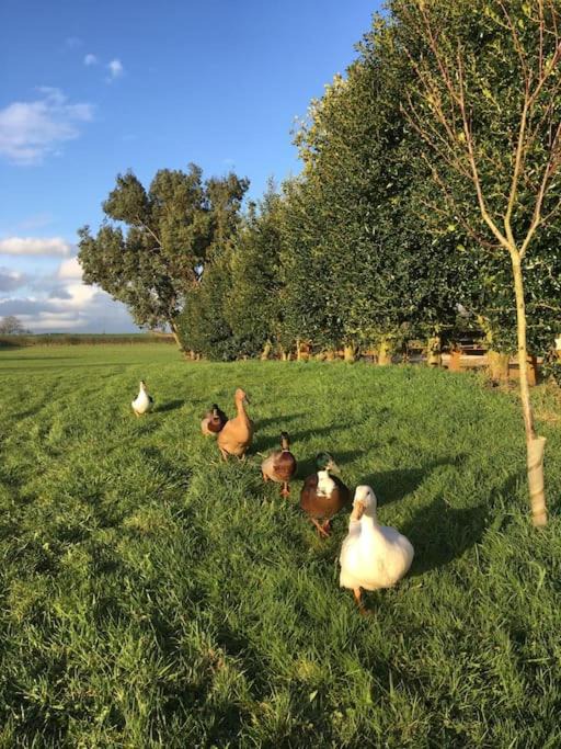 Photo of Others in Forsbrook