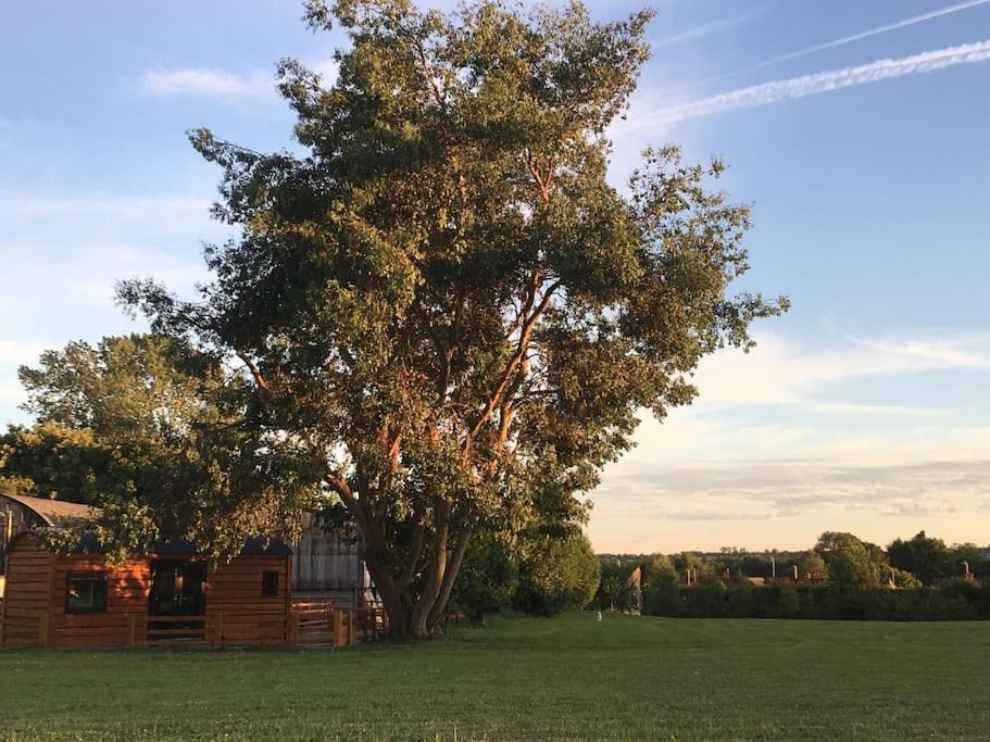 Photo of Others in Forsbrook