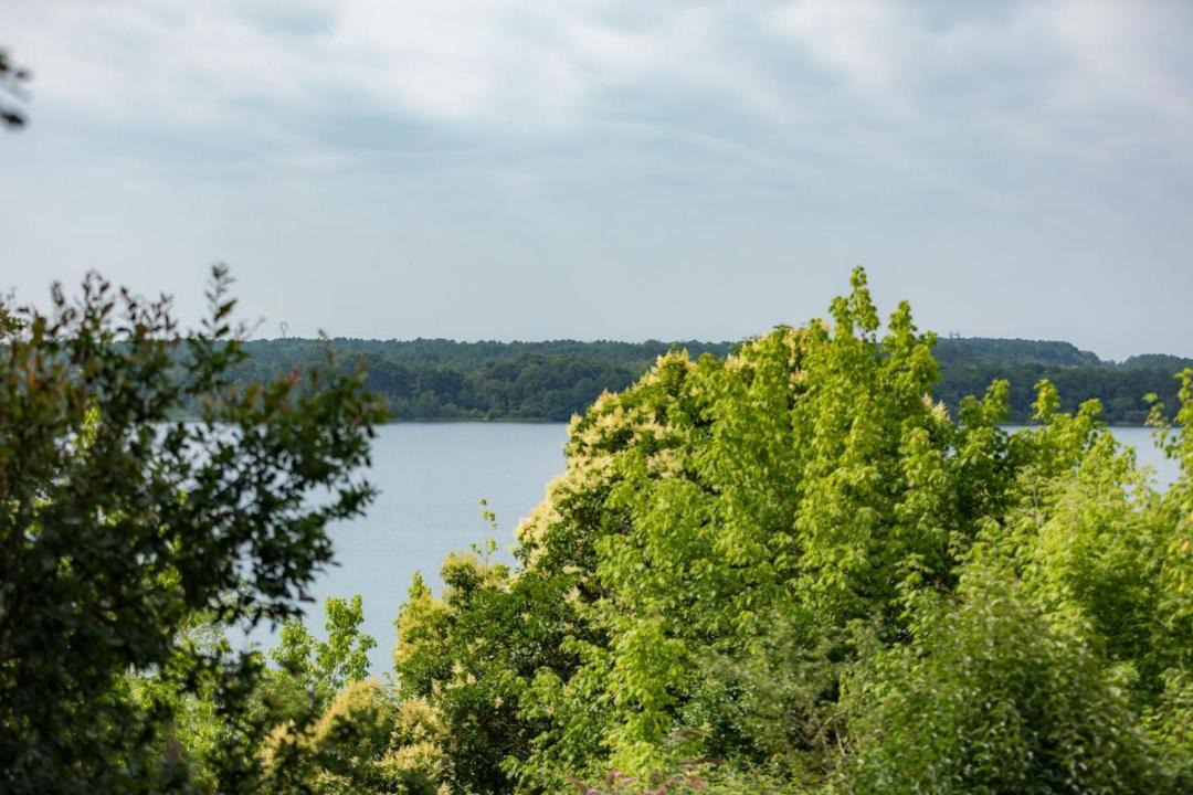 Photo of Others in Arjuzanx